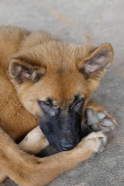 Famille et amis NOV12-001